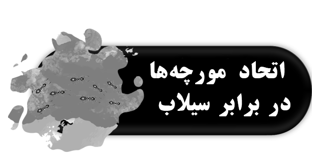 اتحاد مورچه‌ها در برابر سیلاب (نقش مهارت‌های ارتباطی در زندگی افراد نابینا و کم‌بینا)