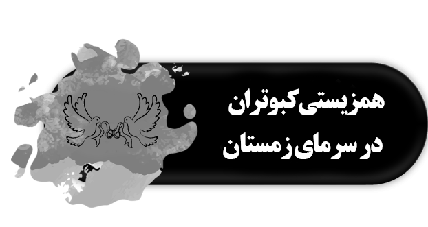 همزیستی کبوتران در سرمای زمستان (چگونگی ازدواج افراد نابینا و کم‌بینا )