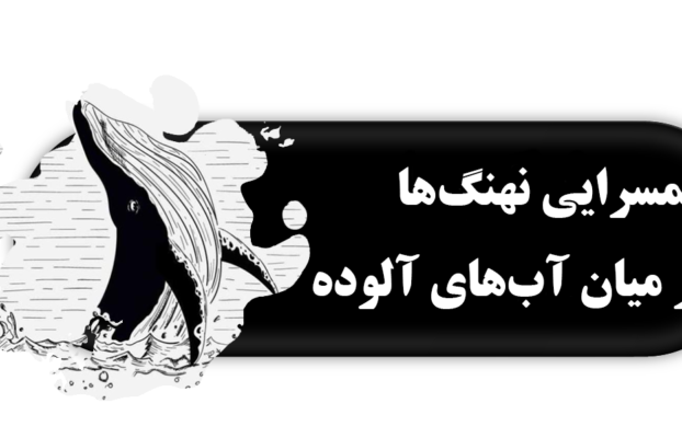 همسرایی نهنگ‌ها در میان آب‌های آلوده (توان‌بخشی شغلی و کار پیدا کردن افراد نابینا و کم‌بینا)